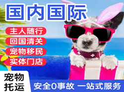 阿荣机场物流国际宠物托运 【国